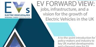 Informe de la REA (Asocicación de Energías Renovables de Reino Unido)