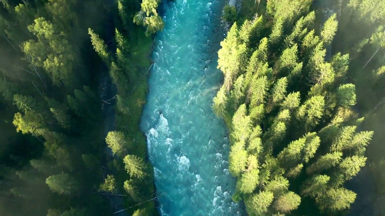 Vehículo eléctrico y demanda de energía, una cuestión de interconexión y eficiencia