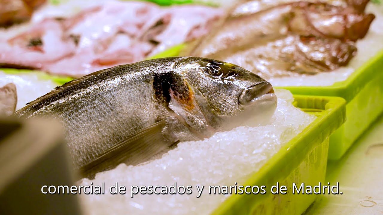 El Mercado Central de Pescados de Mercamadrid desarrolla el proyecto piloto Eccentric