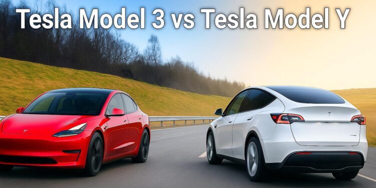 Tesla Model 3 vs Tesla Model Y