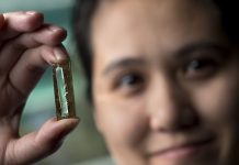 batería de nanocables de oro