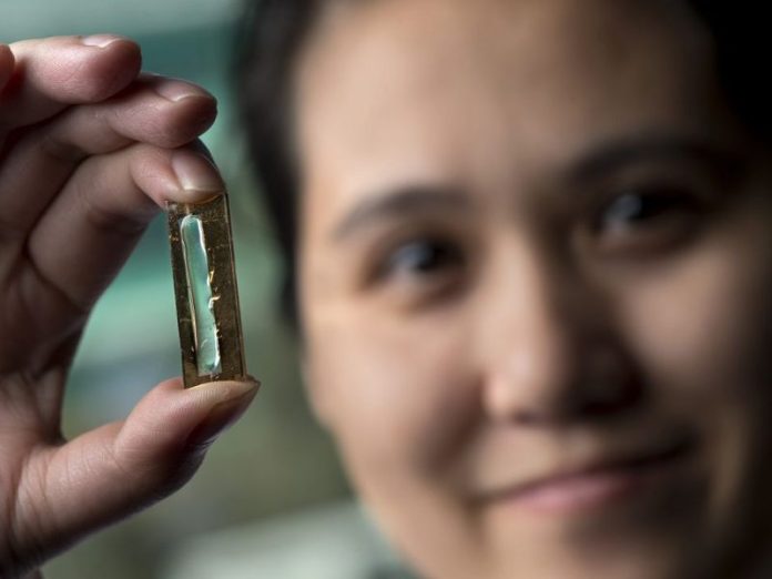 batería de nanocables de oro