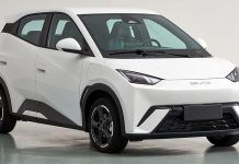 BYD Seagull