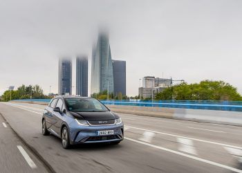 byd dolphin coches eléctricos chinos