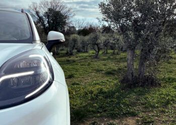 Tu próximo coche eléctrico podría estar hecho de aceitunas, ¿te imaginas?