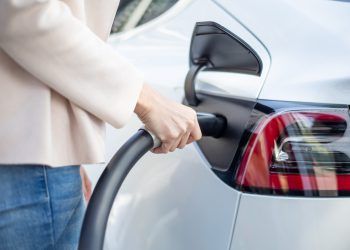 El Calambrazo: «La matrícula de honor»