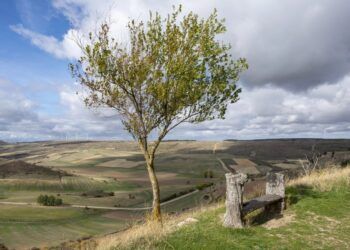 La dama del sur nos ha dejado