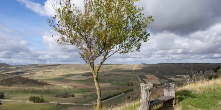 Campos de Soria