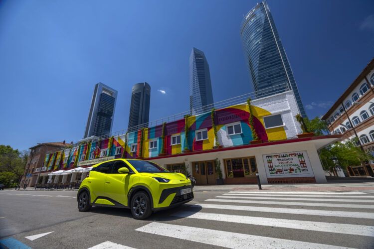 byd dolphin surf loteria navidad 2025 byd dolphin surf