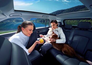 Jaecoo 5 el mejor coche para viajar con tu mascota