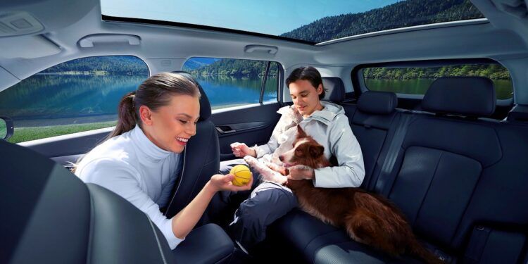 Jaecoo 5 el mejor coche para viajar con tu mascota