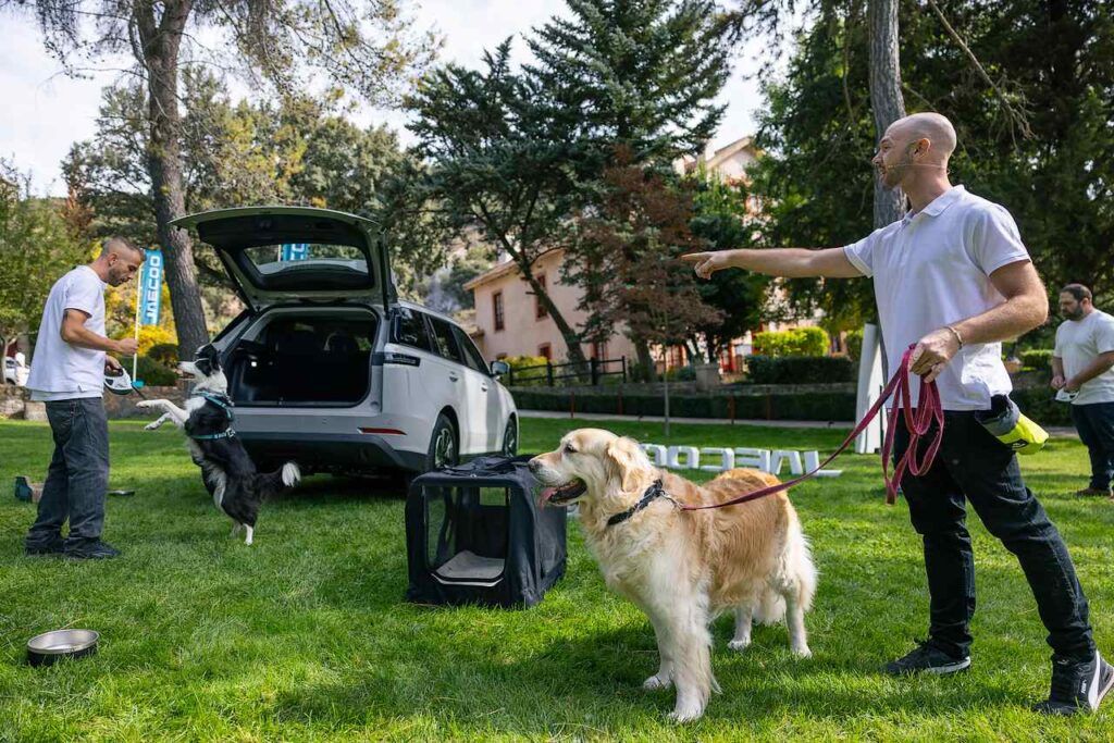 Jaecoo 5 el mejor coche para viajar con tu perro
