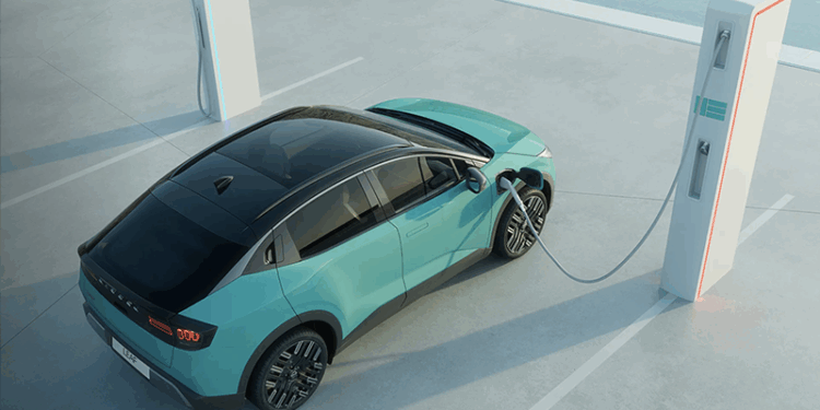 Nissan Leaf carga