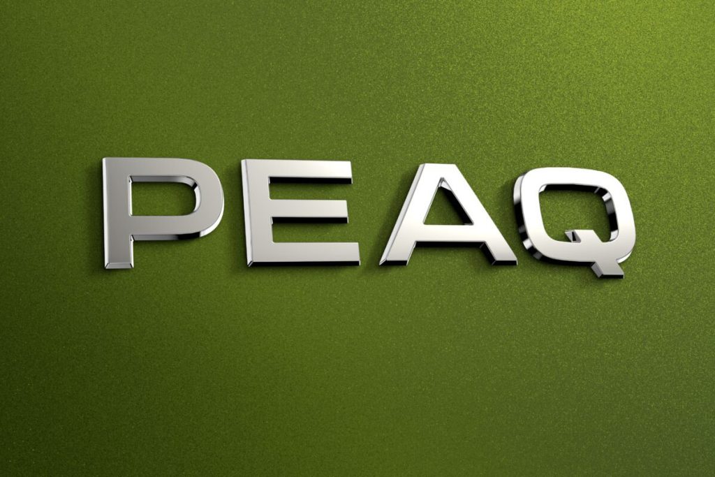 Skoda Peaq