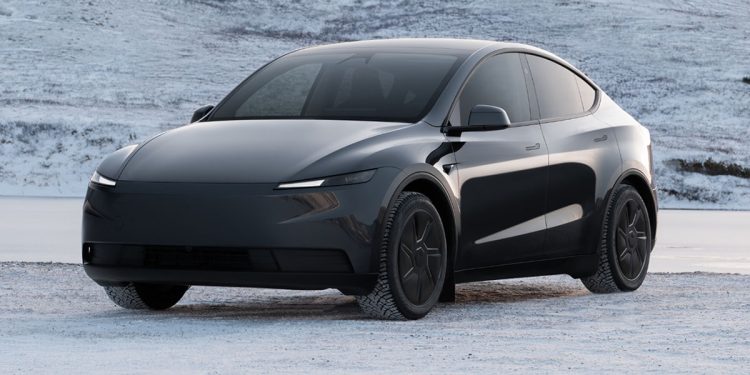 Tesla Model Y Standard Gran Autonomía Tracción Trasera