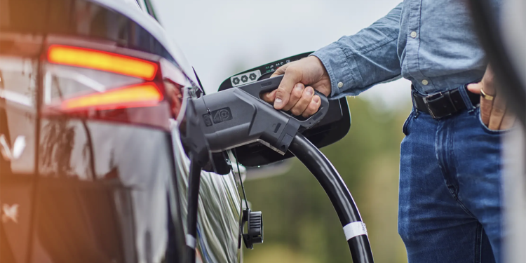 cargadores públicos Oslo