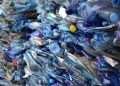 Botellas plástico recicladas PET
