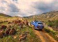 El Subaru e-Outback amplía la oferta eléctrica de la marca japonesa con hasta 591 kilómetros de autonomía, un maletero de 633 litros y dos versiones mecánicas previstas para España.