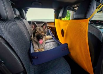 Peugeot E-5008 Dog Edition Concept