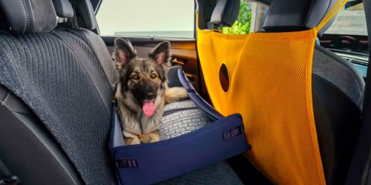 Peugeot E-5008 Dog Edition Concept